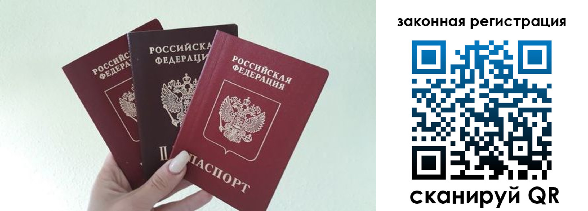 прописка 2025 в Белгородской области